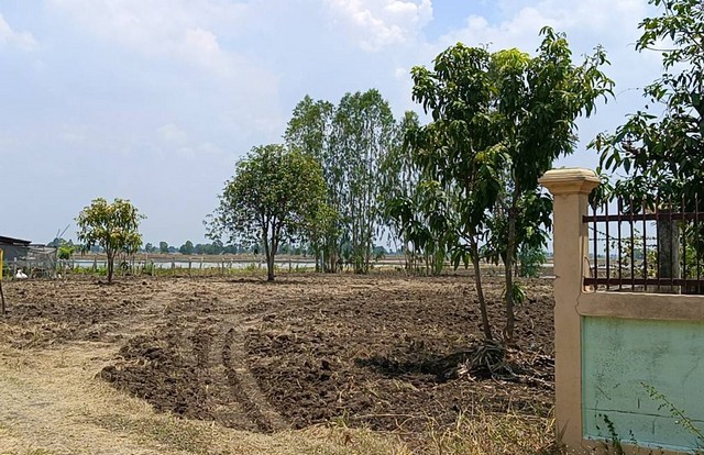 ที่ดินแบ่งขาย 2 แปลง ๆ ละ 2 งาน ต.หนองเมือง อ.บ้านหมี่ จ.ลพบุรี