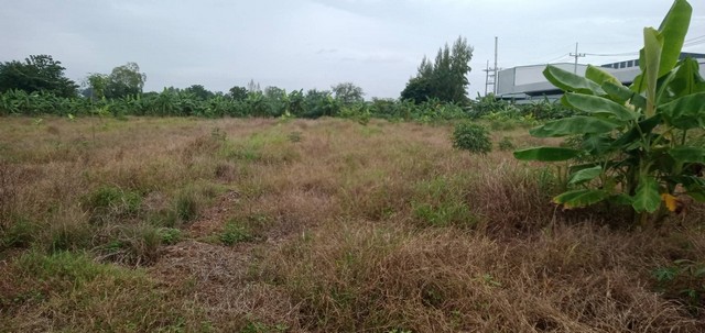 ขายที่ดิน 10ไร่ 2งาน 84 ตารางวา  จังหวัดกำแพงเพชร