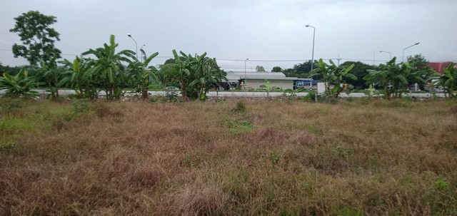 ขายที่ดิน 10ไร่ 2งาน 84 ตารางวา  จังหวัดกำแพงเพชร