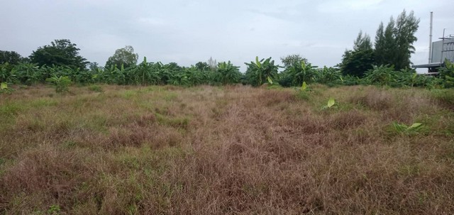 ขายที่ดิน 10ไร่ 2งาน 84 ตารางวา  จังหวัดกำแพงเพชร