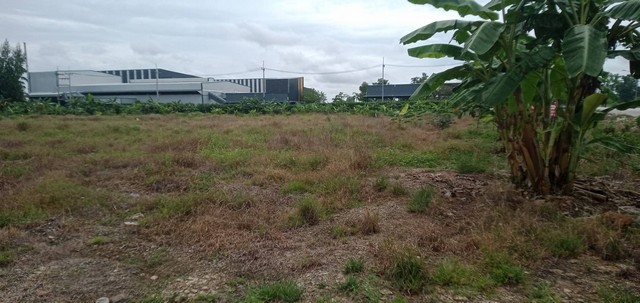 ขายที่ดิน 10ไร่ 2งาน 84 ตารางวา  จังหวัดกำแพงเพชร