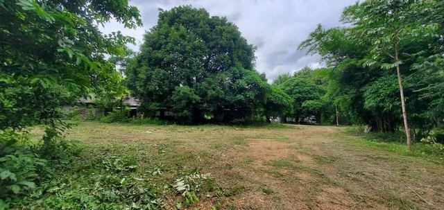 ขายที่ดิน 6ไร่ 3งาน มีบ้าน 2ชั้น สไตล์คันทรี 7ห้องนอน 7ห้องน้ำ ห้องโถงขนาดใหญ่อุทัยธานี