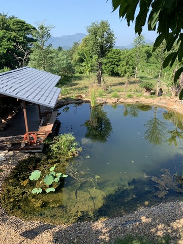 ขายที่ดินขนาด 1ไร่ 90 ตารางวา ใกล้ อุทยานประวัติศาสตร์สงคราม กาญจนบุรี