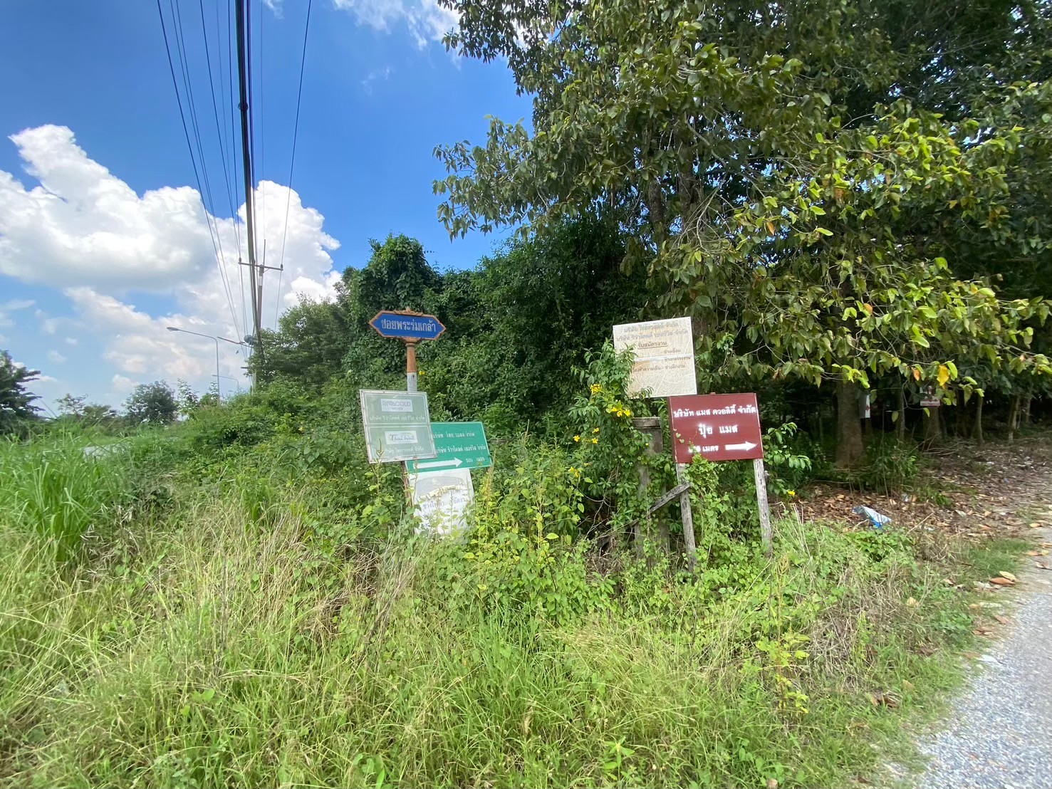 ขายถูกที่สุด ที่ดินคลองสิบ 272 ตารางวา(แบ่งได้) ติดถนนคอนกรีตสาธารณะ แนวถนนกว้าง 8 ม. อ.หนองเสือ จ.ปทุมธานี