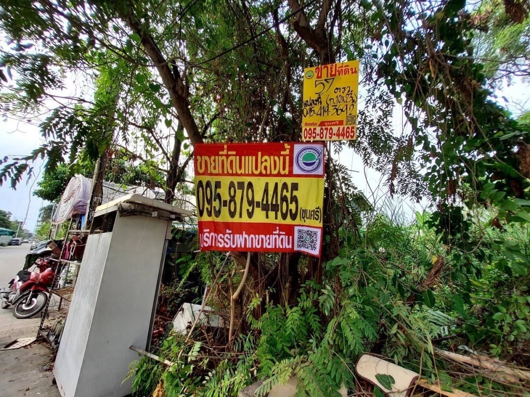 ขายที่ดินลาดกระบัง 57 ตารางวา ติดถนนคอนกรีตสาธารณะ ซอย จรูญสอนดี ถนนพัฒนาชนบท 3