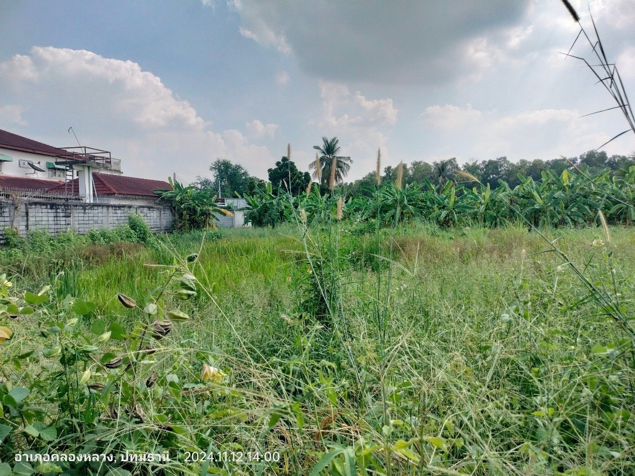 ขายด่วน ที่ดินใกล้มอเตอร์เวย์  5 ไร่ ติดถนนสาธารณะ ซอยคลองสี่ตะวันออก 40 อ.คลองหลวง จ.ปทุมธานี