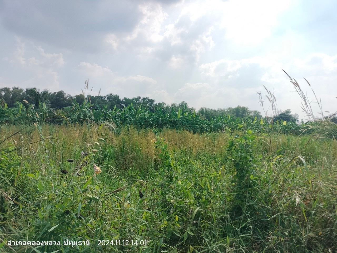 ขายด่วน ที่ดินใกล้มอเตอร์เวย์  5 ไร่ ติดถนนสาธารณะ ซอยคลองสี่ตะวันออก 40 อ.คลองหลวง จ.ปทุมธานี