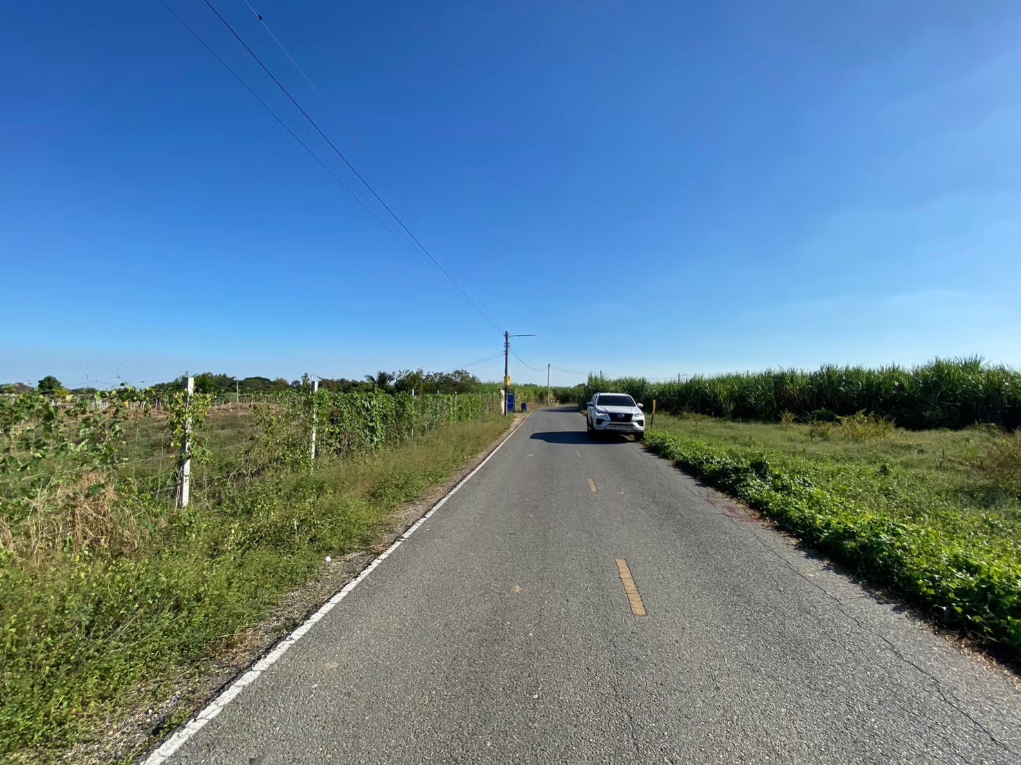 ขายด่วน ที่ดินหนองงูเหลือม 2 ไร่ ติดถนนลาดยางสาธารณะ มีไฟฟ้า+ประปา  เมืองนครปฐม