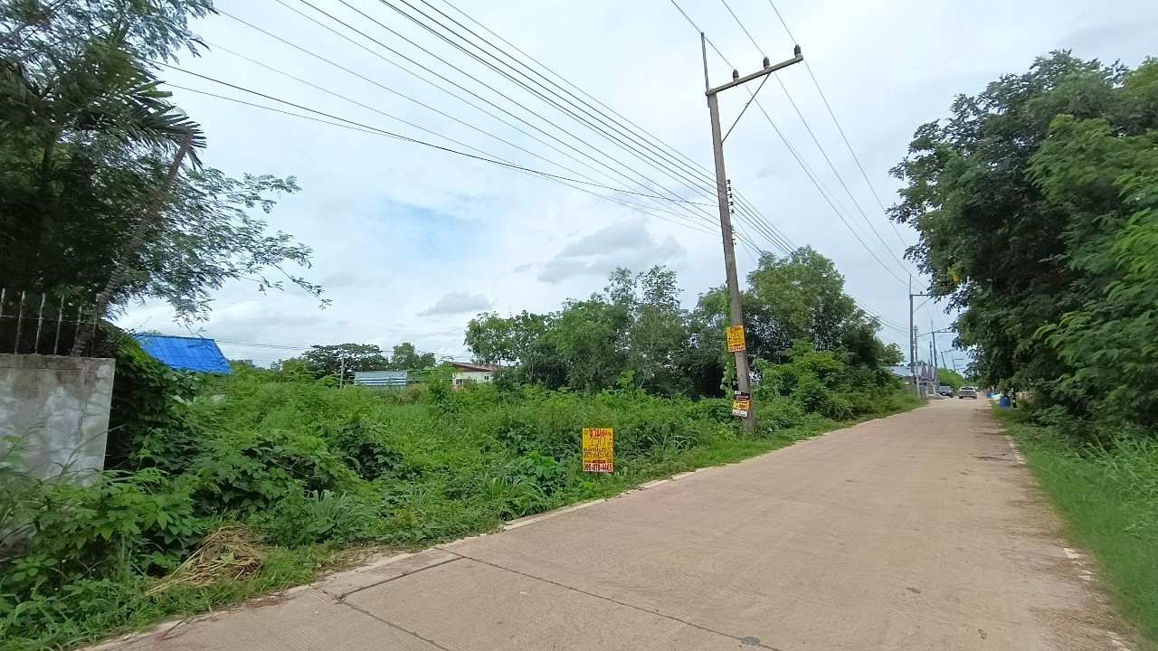 ขายด่วน ที่ดินใกล้วัดธรรมกาย 150 ตารางวา ถมแล้ว ติดถนนคอนกรีตสาธารณะ ซอย คลองสาม 8/13