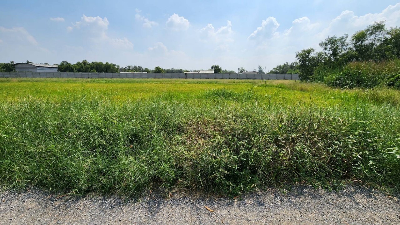 ขายที่ดินใกล้โรงพยาบาลคลองหลวง 438 ตารางวา ติดถนนสาธารณะ ซอยคลองหกตะวันตก 31/1 จ.ปทุมธานี