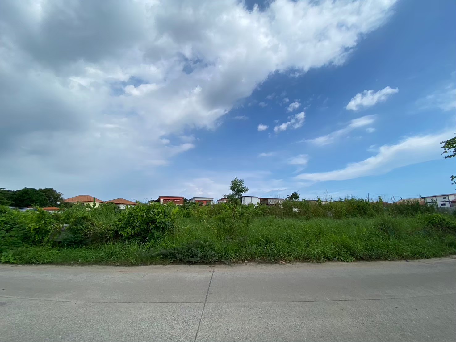 ขายด่วนๆ ที่ดินถนนเพระรามสอง  2-3-68 ไร่ ติดถนนคอนกรีตสาธารณะ ซอย บางกระดี่ 16 บางขุนเทียน กทม.