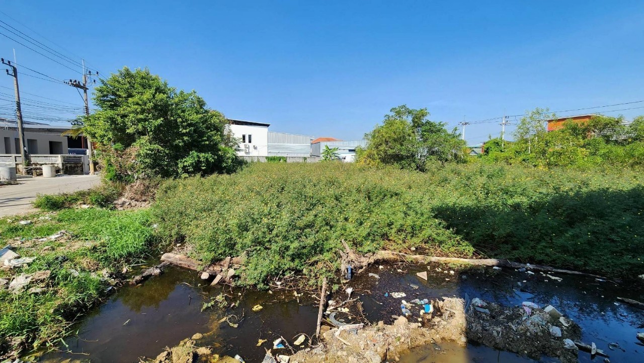 ขายด่วน ที่ดินผังสีม่วง 200 ตารางวา ติดถนนคอนกรีตสาธารณะ เลียบคลองสี่ ซอย 5  อ.ลำลูกกา จ.ปทุมธานี