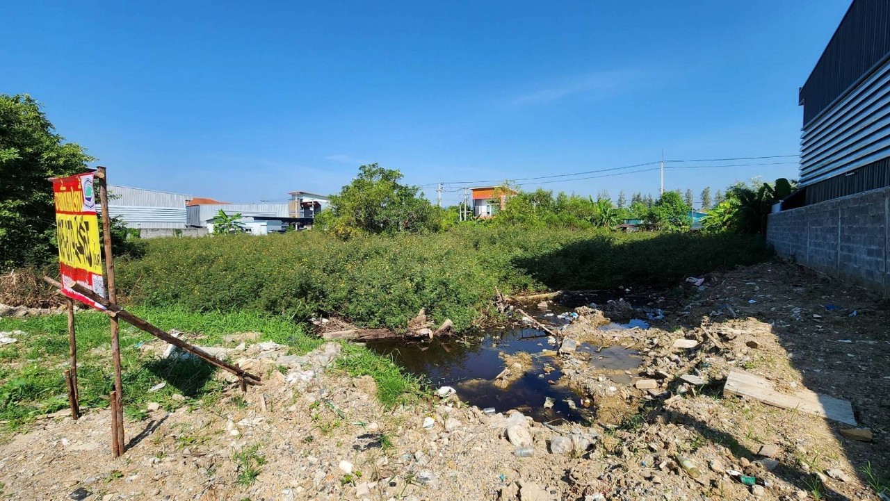 ขายด่วน ที่ดินผังสีม่วง 200 ตารางวา ติดถนนคอนกรีตสาธารณะ เลียบคลองสี่ ซอย 5  อ.ลำลูกกา จ.ปทุมธานี