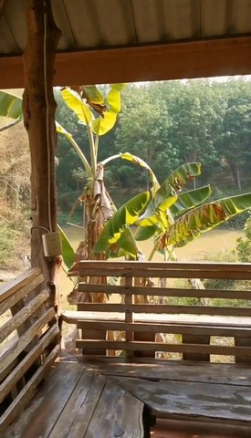 ขายที่ดินทำเลดี 9ไร่ 2 งาน 52 ตารางวา ตำบลพะทาย อำเภอท่าอุเทน จังหวัดนครพนม