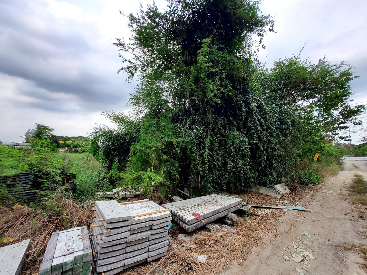 ขายที่ดินถนนศาลายา-บางภาษี 266 ตารางวา จากถนน 4 เลน เข้าซอย 20 ม. ต.คลองโยง อ.พุทธมณฑล จ.นครปฐม