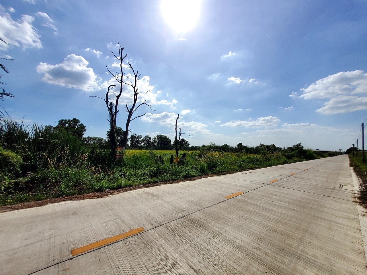 ขายถูกที่สุด ที่ดินหนองเสือ คลองเก้า 2 ไร่ ติดถนนคอนกรีตสาธารณะ ซอย บึงบอน 10(จุฑารัตน์)