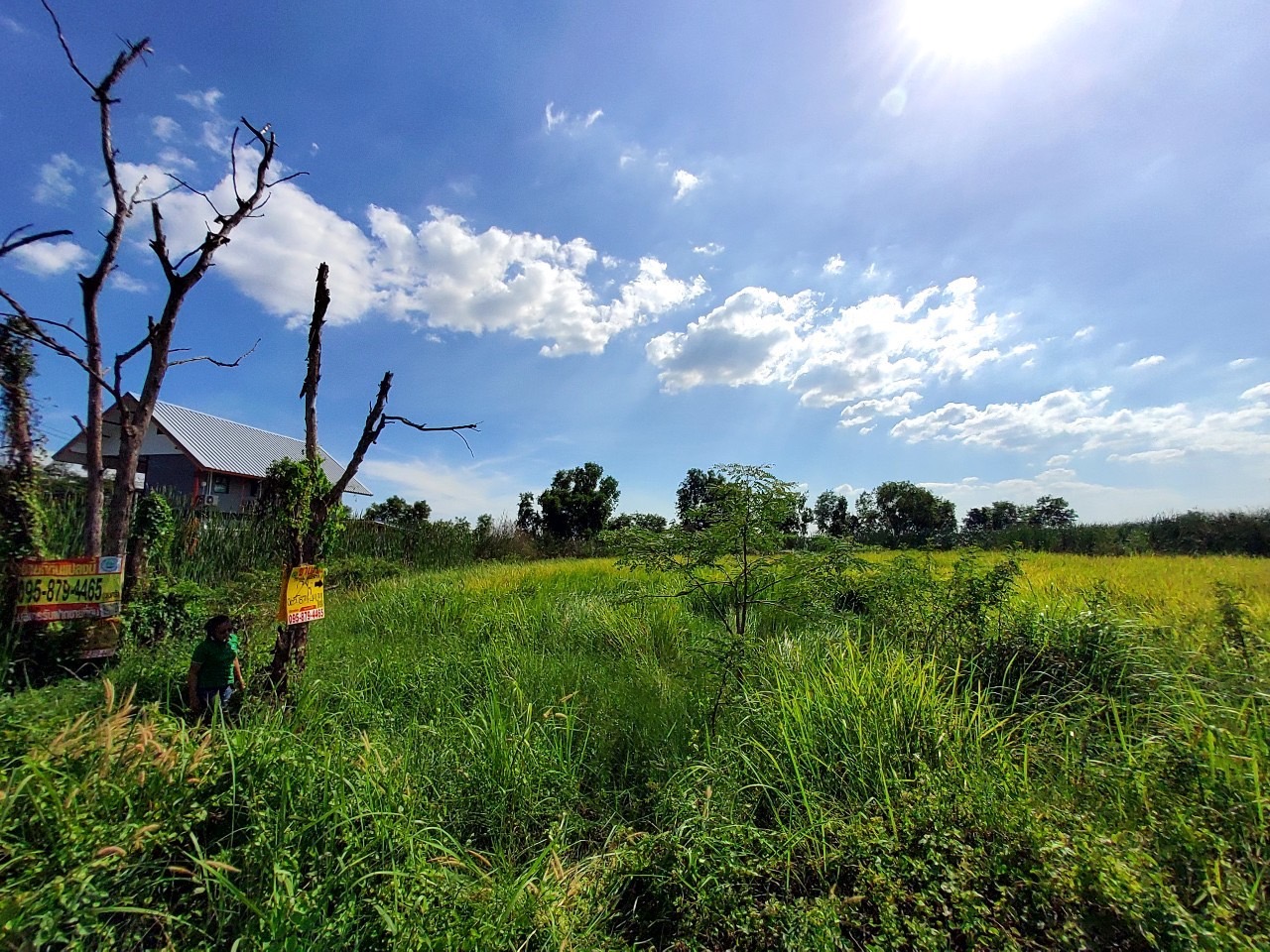 ขายถูกที่สุด ที่ดินหนองเสือ คลองเก้า 2 ไร่ ติดถนนคอนกรีตสาธารณะ ซอย บึงบอน 10(จุฑารัตน์)