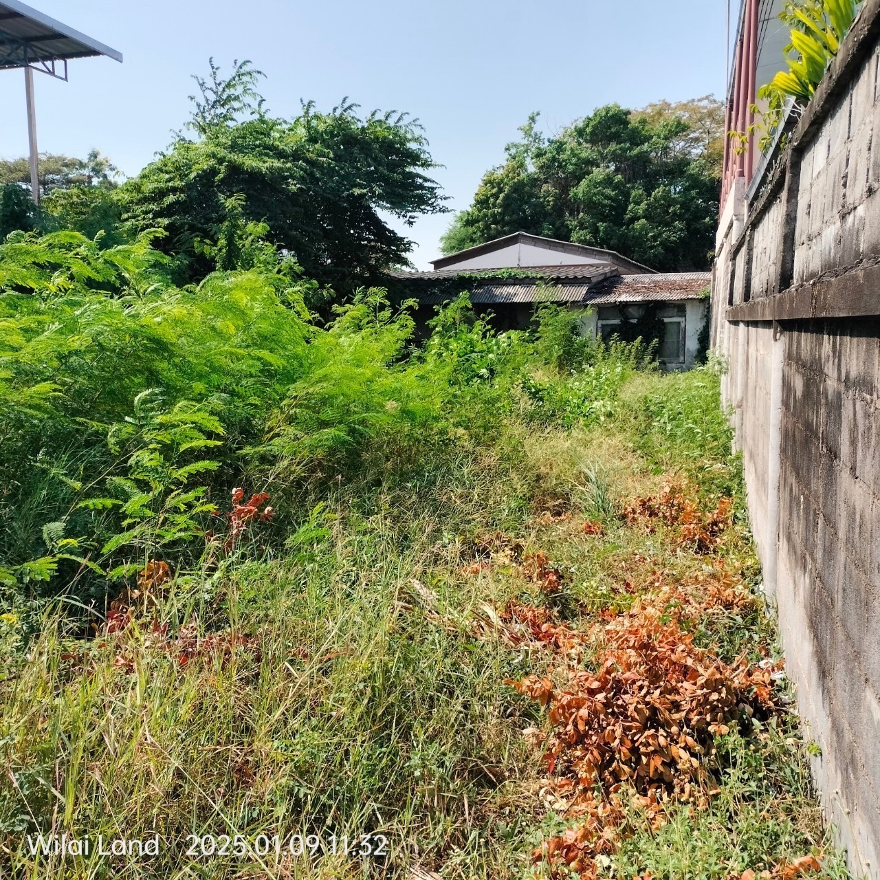 ขายด่วน ที่ดินใกล้ รฟฟ.สายสีชมพู 68  ตารางวา ติดถนนคอนกรีตสาธารณะ ถมแล้ว รามอินทรา 117 บางชัน กทม.