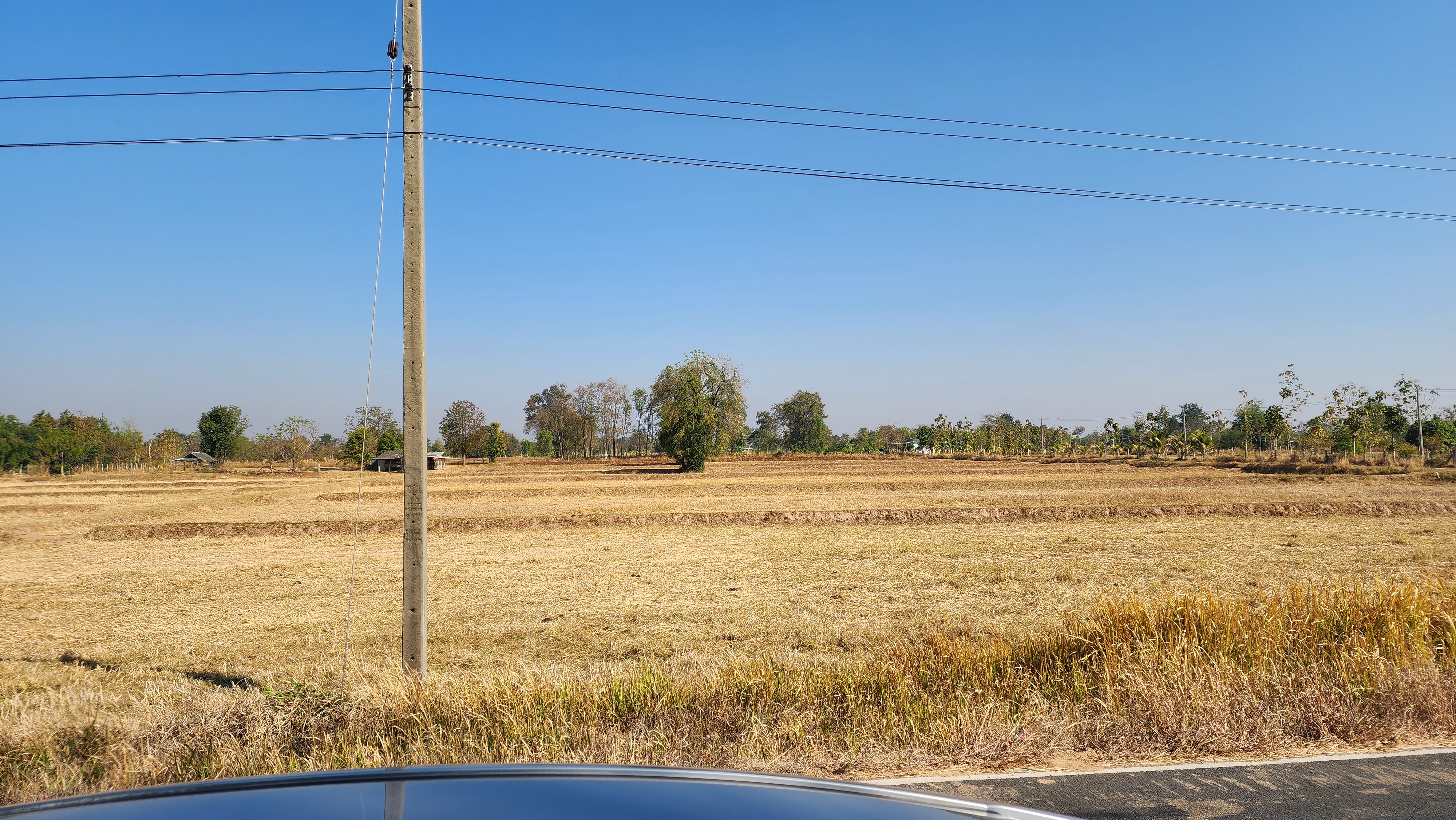 ขายที่ดินในอำเภอลำปลายมาศ 10 ไร่  (โฉนดที่ดิน-ครุฑแดง) หน้ากว้าง 80 เมตร 