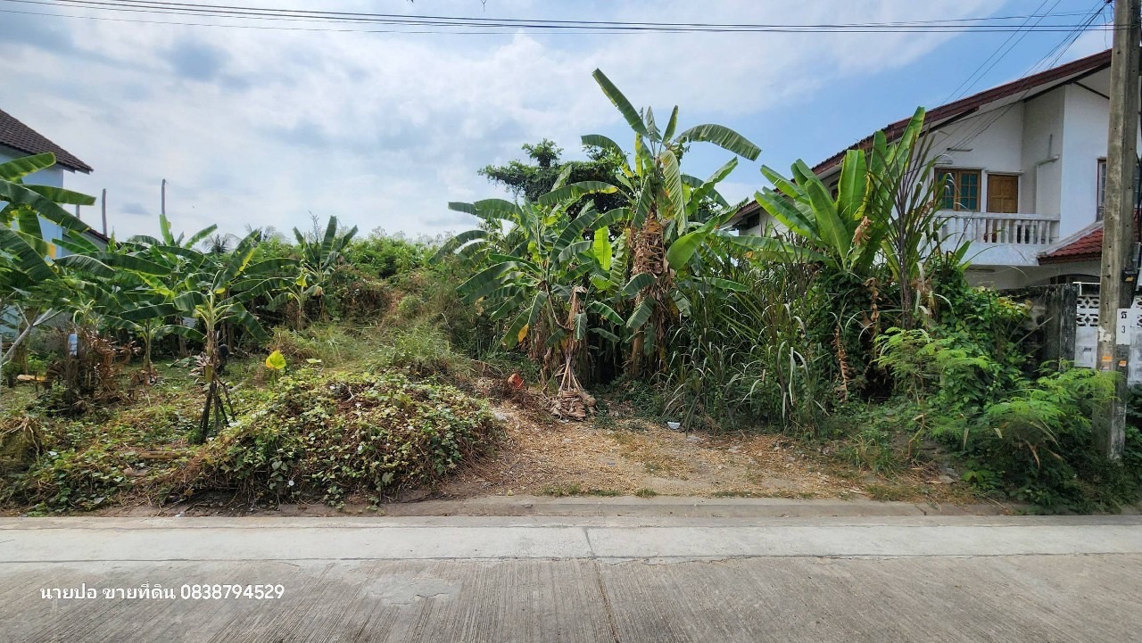 ขายที่ดินหมู่บ้านมหาดไทย 2 เนื้อที่ 52 ตารางวา ติดถนนคอนกรีต ถมแล้ว  ซ.บางระมาด 11 เขตตลิ่งชัน กทม.