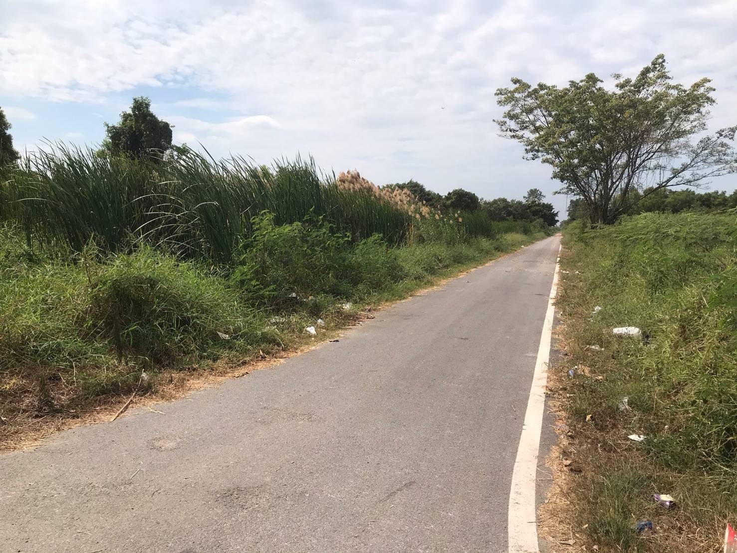 ขายด่วน ที่ดินติดถนนเลียบคลองหก 7-1-43 ไร่แปลงมุม  ซอยคลองหกตะวันตก 21 อ.คลองหลวง จ.ปทุมธานี