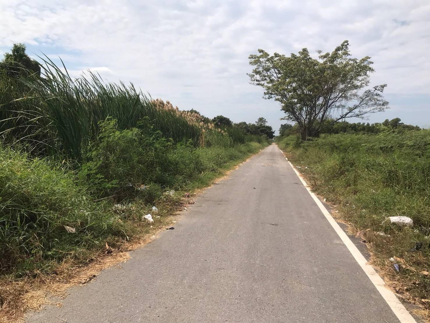 ขายด่วน ที่ดินติดถนนเลียบคลองหก 7-1-43 ไร่แปลงมุม  ซอยคลองหกตะวันตก 21 อ.คลองหลวง จ.ปทุมธานี