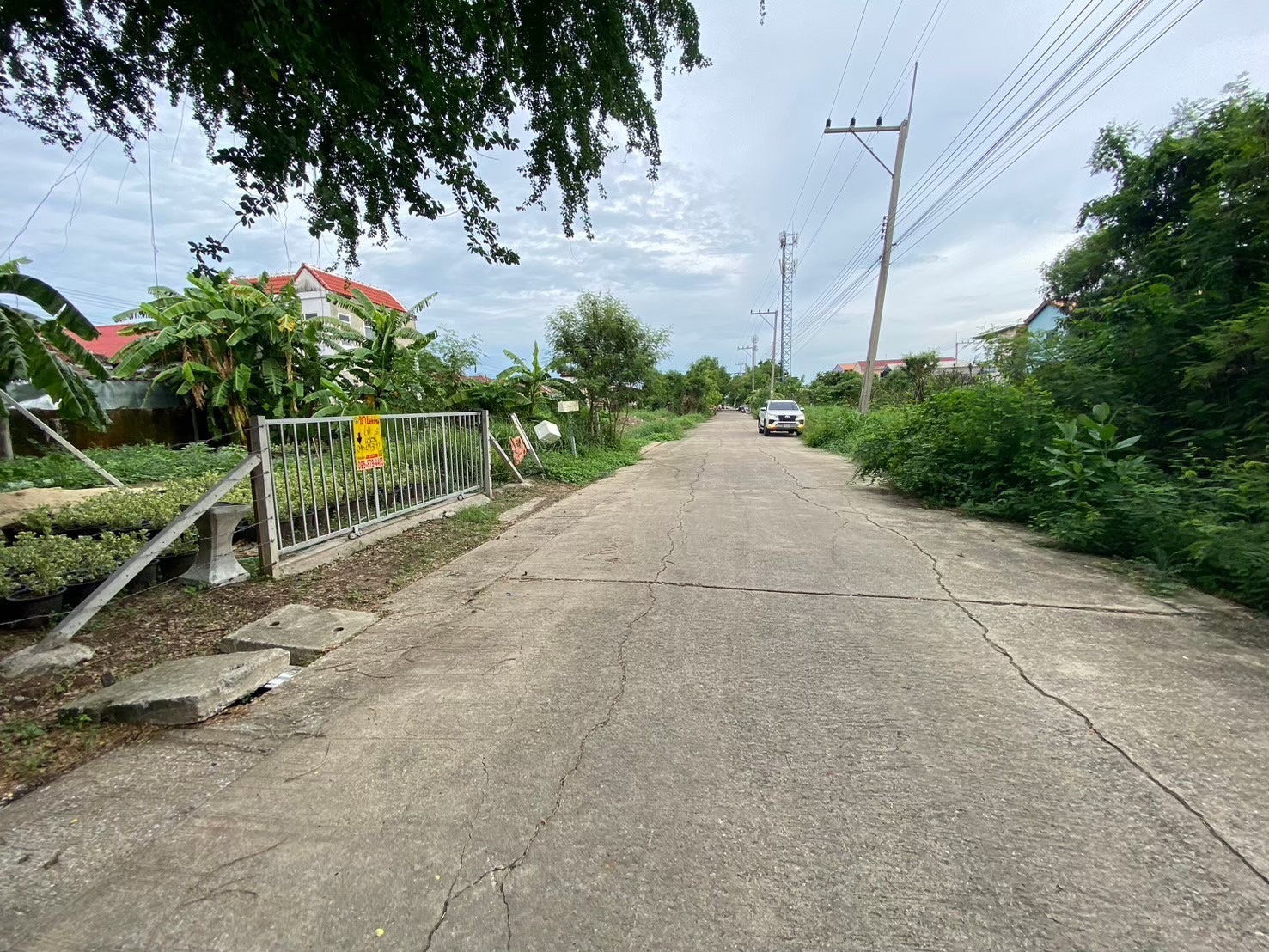 ขายถูก ที่ดินถนนรังสิต-นครนายก 60 ตารางวา ติดถนนนกรีตสาธารณะ ซอย เพิ่มทรัพย์  คลอง 7 อ.ธัญบุรี จ.ปทุมธานี