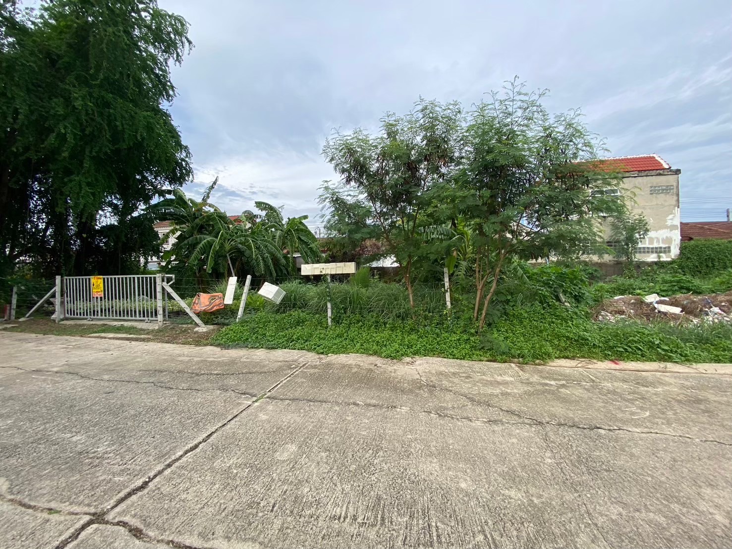 ขายถูก ที่ดินถนนรังสิต-นครนายก 60 ตารางวา ติดถนนนกรีตสาธารณะ ซอย เพิ่มทรัพย์  คลอง 7 อ.ธัญบุรี จ.ปทุมธานี