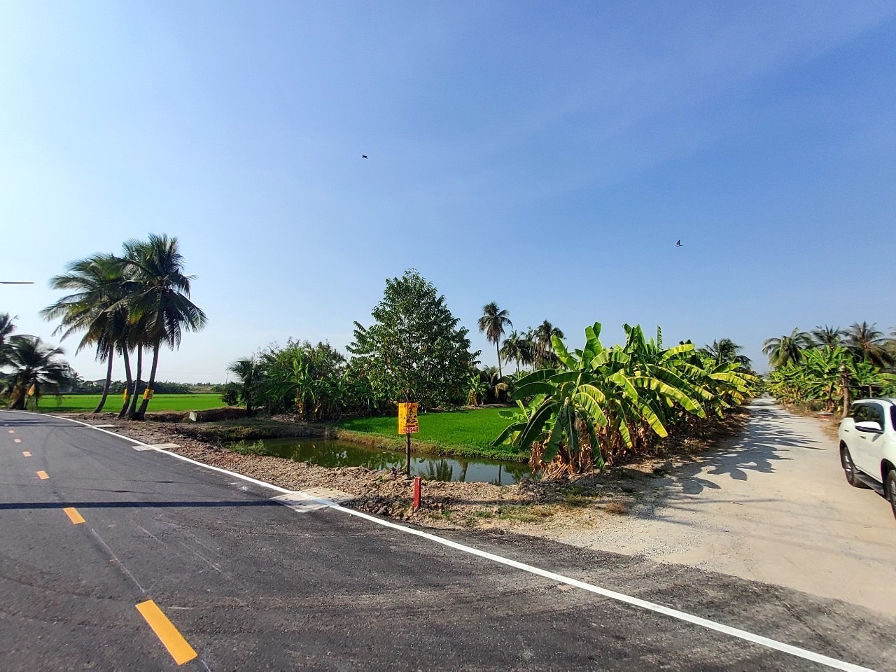 ขายที่ดินคลองโยง 172 ตารางวา แปลงมุม ติดถนนลาดยางสาธารณะ ซอยวัดป่าศรีถาวร อ.พุทธมณฑล จ.นครปฐม