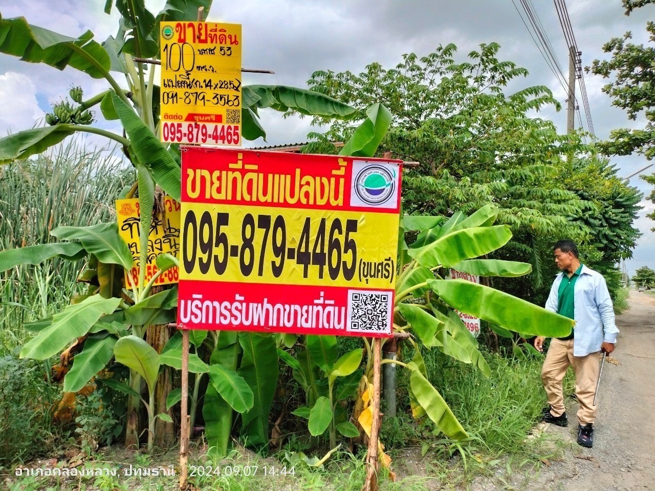 ขายด่วน ที่ดินคลองสอง  100 ตารางวา ติดถนนลาดยางสาธารณะ ซอย บงกช 53 อ.คลองหลวง จ.ปทุมธานี