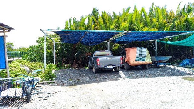 ขายที่ดิน 1 ไร่ 3 งาน ริมคลองสรรพสามิต (พิทยาลงกรณ์)  อำเภอพระสมุทรเจดีย์ สมุทรปราการ 
