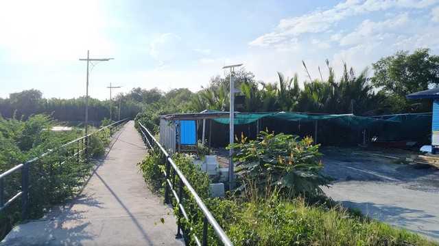 ขายที่ดิน 1 ไร่ 3 งาน ริมคลองสรรพสามิต (พิทยาลงกรณ์)  อำเภอพระสมุทรเจดีย์ สมุทรปราการ 