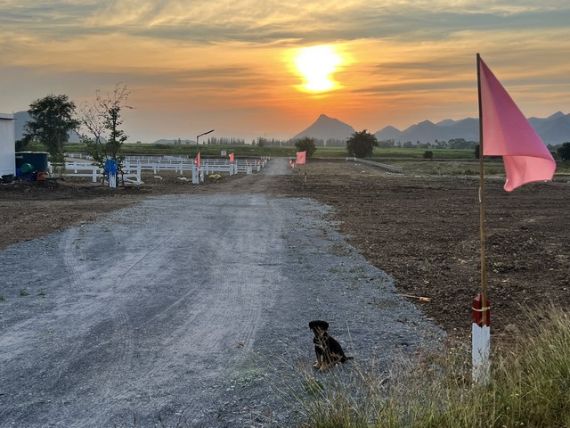 ขายที่ดินแบ่ง เริ่มต้น 2 งาน ตำบลหนองบัว เมือง กาญจนบุรี