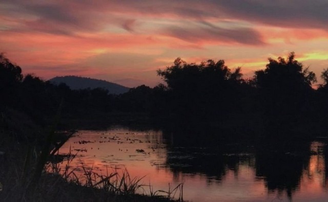 ขายที่ดินพร้อมสิ่งปลูกสร้างที่ดินถมแล้วมีแหล่งน้ำ-ขุดสระมีน้ำประปา ชัยนาท 