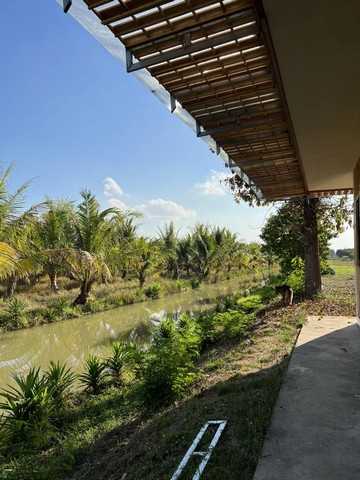 ขายที่ดินพร้อมสิ่งปลูกสร้างที่ดินถมแล้วมีแหล่งน้ำ-ขุดสระมีน้ำประปา ชัยนาท 