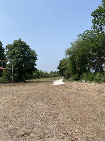 ขายที่ดินพร้อมสิ่งปลูกสร้างที่ดินถมแล้วมีแหล่งน้ำ-ขุดสระมีน้ำประปา ชัยนาท 