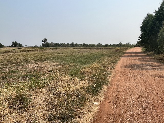 ขายที่ดิน14 ไร่ 30 ตรว. ขายไร่ 150000  บาท ตำบลบ้านกอก อำเภอจัตุรัส จังหวัดชัยภูมิ