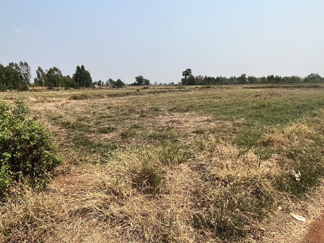 ขายที่ดิน14 ไร่ 30 ตรว. ขายไร่ 150000  บาท ตำบลบ้านกอก อำเภอจัตุรัส จังหวัดชัยภูมิ