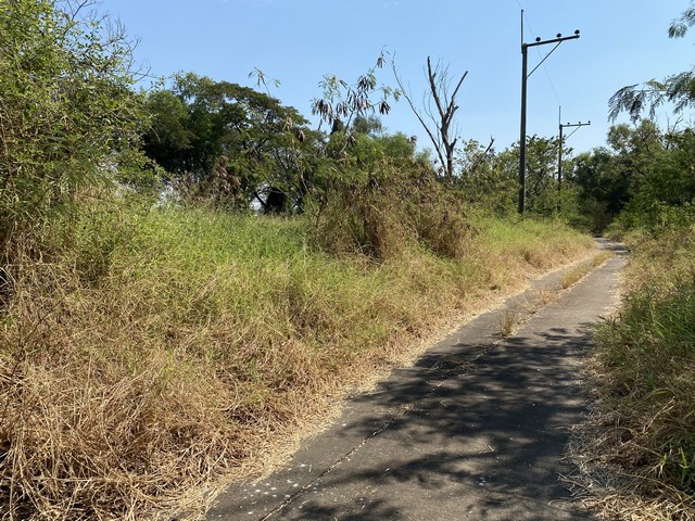 ขายที่ดินทำเลดี 1 งาน 75.8 ตารางวา ตำบลบางบ่อ อำเภอบางบ่อ จังหวัดสมุทรปราการ