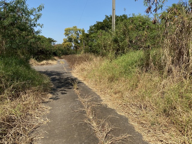 ขายที่ดินทำเลดี 1 งาน 75.8 ตารางวา ตำบลบางบ่อ อำเภอบางบ่อ จังหวัดสมุทรปราการ