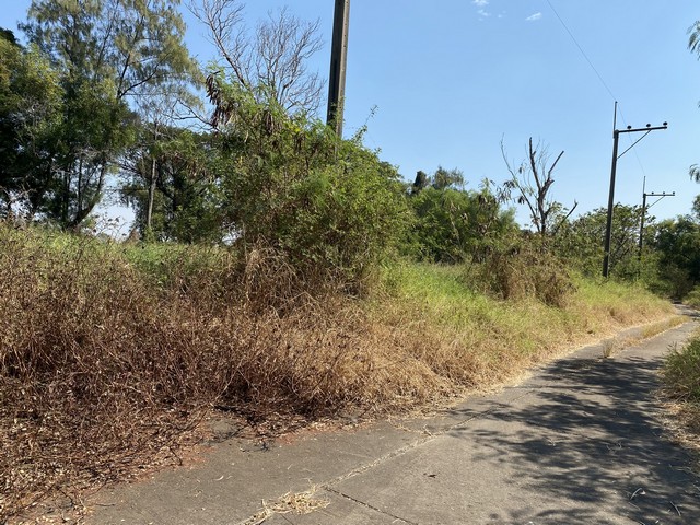 ขายที่ดินทำเลดี 1 งาน 75.8 ตารางวา ตำบลบางบ่อ อำเภอบางบ่อ จังหวัดสมุทรปราการ