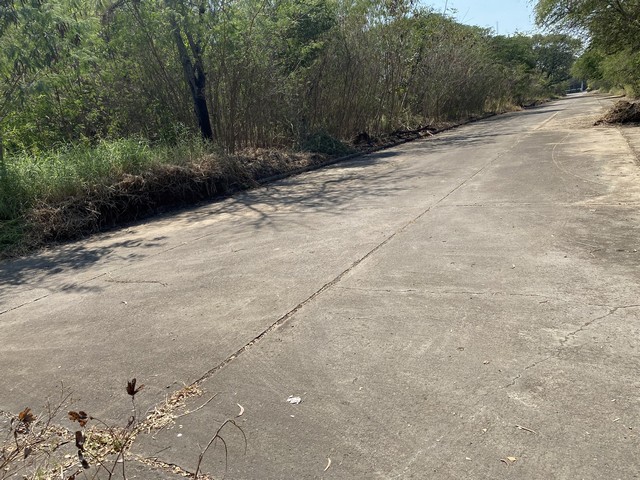 ขายที่ดินทำเลดี 1 งาน 75.8 ตารางวา ตำบลบางบ่อ อำเภอบางบ่อ จังหวัดสมุทรปราการ