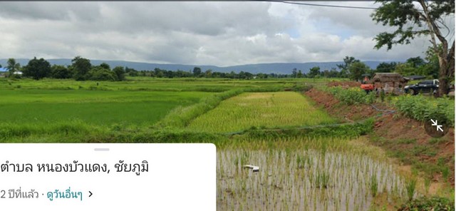 ขายที่ดิน13ไร่โฉนด(แบ่งขาย3-5ไร่)เหมาะทำโครงการบ้านจัดสรรที่ดินติดกับโครงการบ้านจัดสรร ต.หนองบัวแดง อ.หนองบัวแดง จ.ชัยภูมิ