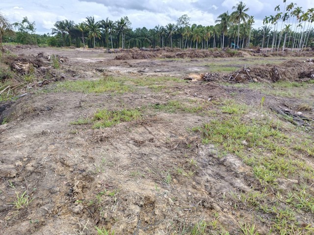 ขายที่ดินพร้อมสิ่งปลูกสร้าง บ้าาน 1 หลัง และห้องแถว 4 หลัง  โฉนด 2 6 ไร่ 1 งาน  จังหวัดชุมพร