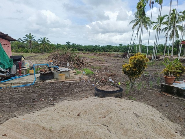 ขายที่ดินพร้อมสิ่งปลูกสร้าง บ้าาน 1 หลัง และห้องแถว 4 หลัง  โฉนด 2 6 ไร่ 1 งาน  จังหวัดชุมพร