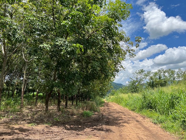 ขายที่ดิน10 ไร่  บ้านพุน้ำร้อน  ต.บ้านเก่า อ.เมือง จ.กาญจนบุรี 