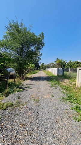  ขายที่ดิน 2 ไร่ 2 งาน 10 ตารางวา ต.ท่าวังตาล อ.สารภี จ.เชียงใหม่