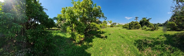  ขายที่ดิน 2 ไร่ 2 งาน 10 ตารางวา ต.ท่าวังตาล อ.สารภี จ.เชียงใหม่