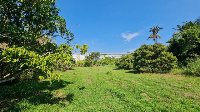  ขายที่ดิน 2 ไร่ 2 งาน 10 ตารางวา ต.ท่าวังตาล อ.สารภี จ.เชียงใหม่