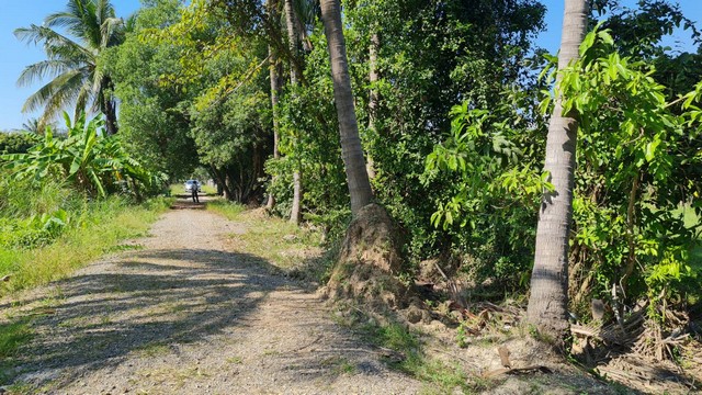  ขายที่ดิน 2 ไร่ 2 งาน 10 ตารางวา ต.ท่าวังตาล อ.สารภี จ.เชียงใหม่